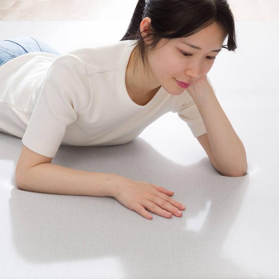 ニトリ（NITORI） 低反発 極厚30mmウレタン入り 接触冷感 防汚 ラグ(N