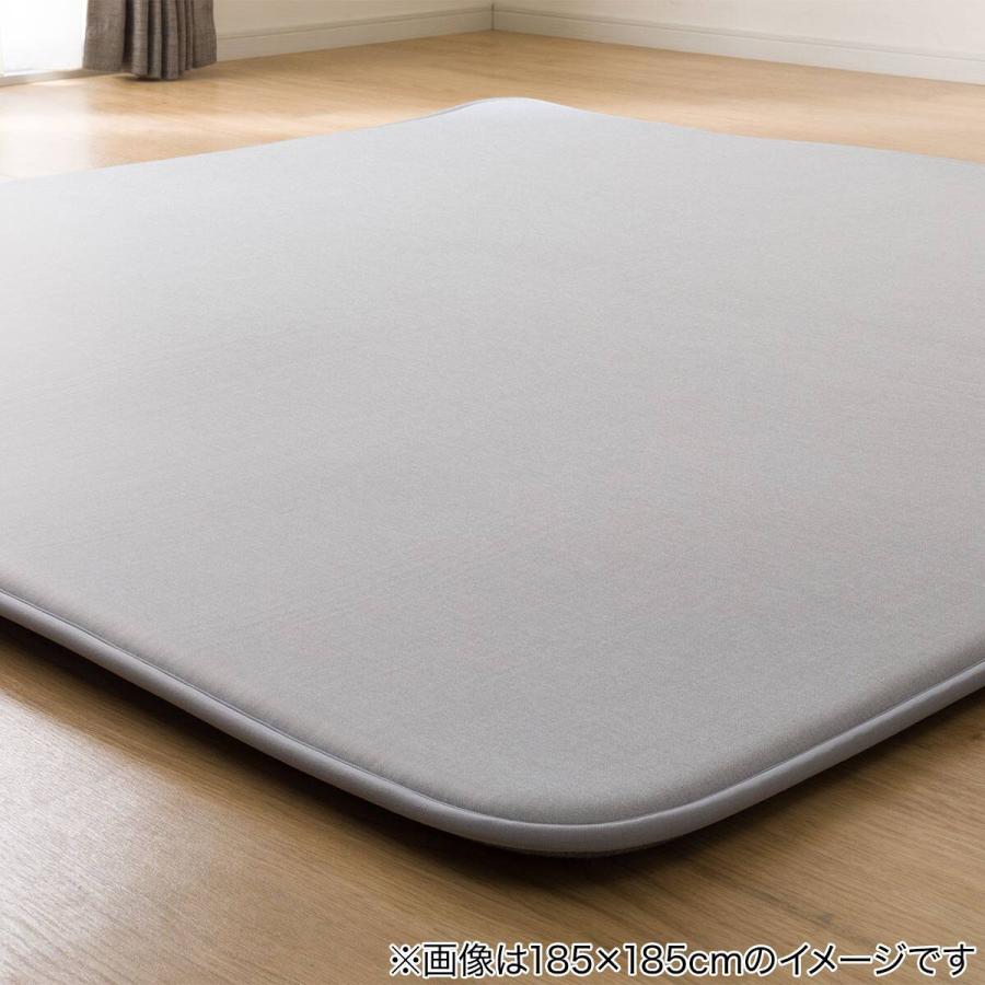 低反発 極厚30mmウレタン入り 接触冷感 防汚 ラグ(Nクール極冷 185X240 グレー Y02) ニトリ_9