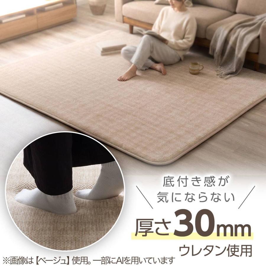 ニトリ（NITORI） 30mmウレタン入り防汚加工+防ダニ加工+防音ラグ