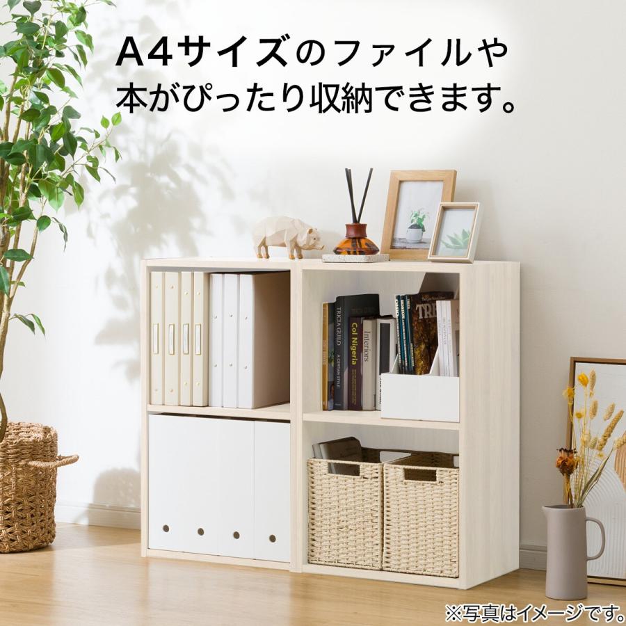 ニトリ（NITORI） 簡単組立て Nクリック ボックス ロータイプ 2段