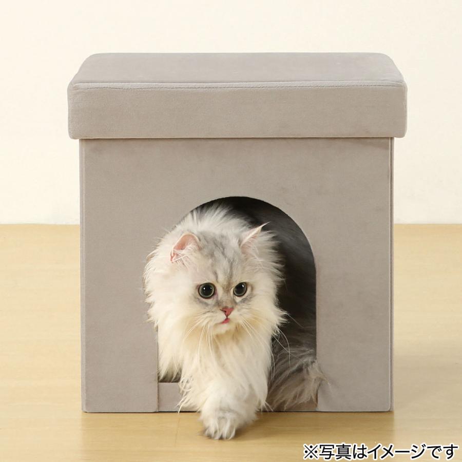 ニトリ（NITORI） ペットが入れる折りたたみスツール(モカ DH04