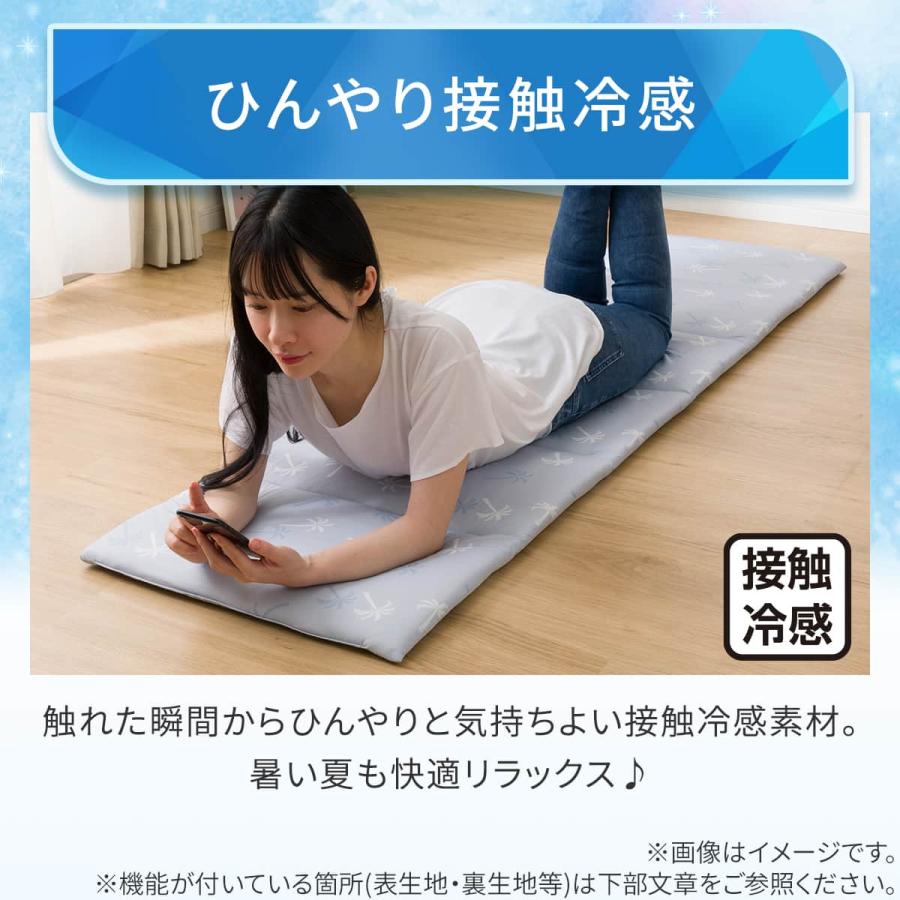 ニトリ（NITORI） 大判ごろ寝クッション(Nクール PALM NR04