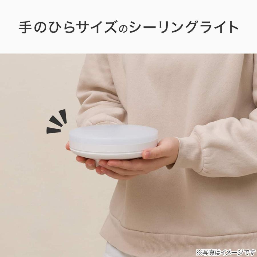 ニトリ（NITORI） LEDミニシーリングライト (60D) : ニトリ Yahoo!店