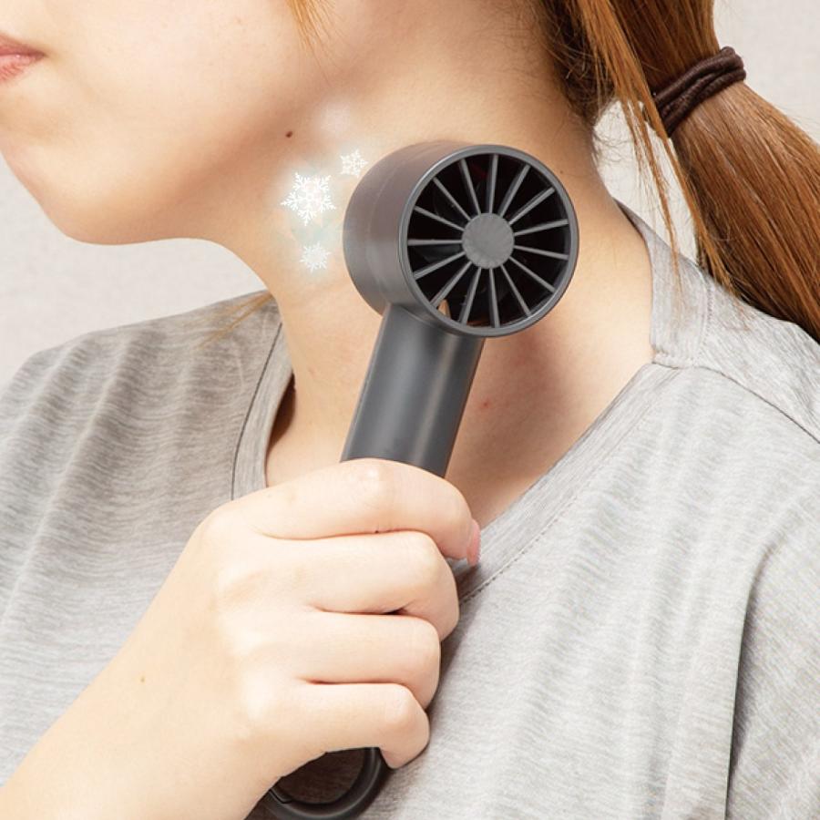 【美品】 ニトリ 冷却プレート ハンディファン ブラック 完売品 カラビナ付 ニトリ＊ 完売品 カラビナ付き冷却プレートハンディファン