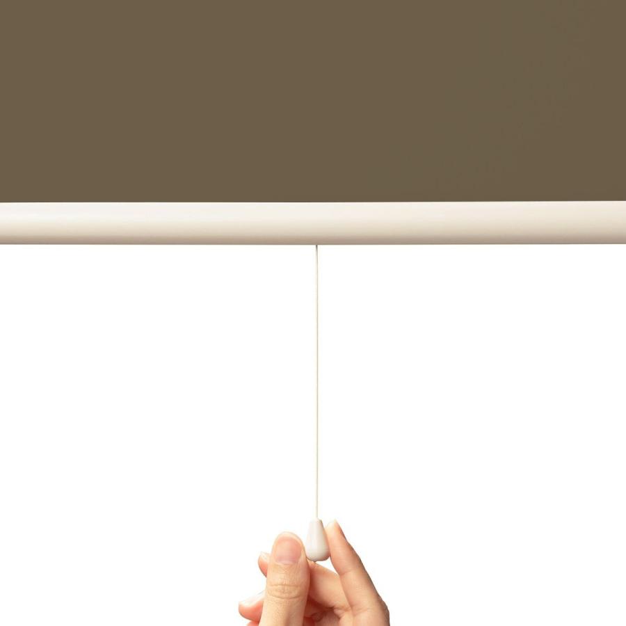 つっぱりロールスクリーン ニトリ つっぱり採光ロールスクリーン(RS04 DBR 60X135