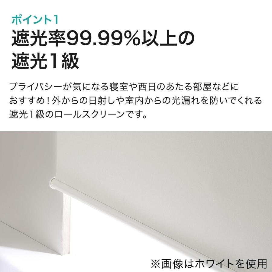 ニトリ（NITORI） 遮光ロールスクリーン ドルフィン(グレー 60X180
