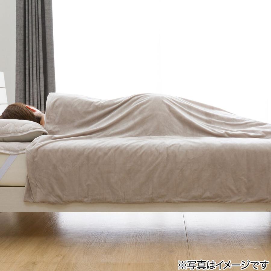ニトリ ひもなしらくらくカバー付き 重い毛布5.5kg シングル(A24 ニトリ ひもなしらくらくカバー付き 重い毛布5.5kg シングル(A24