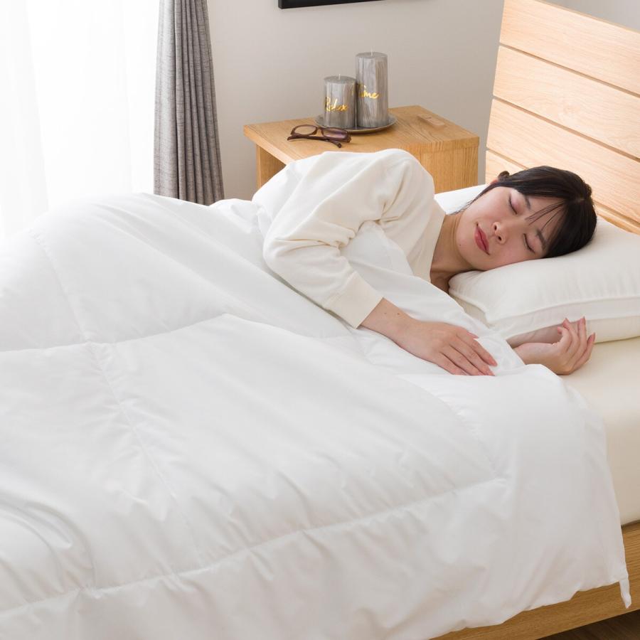 ニトリ（NITORI） ポリエステル薄掛ふとん ダブル(K2427 D) : ニトリ