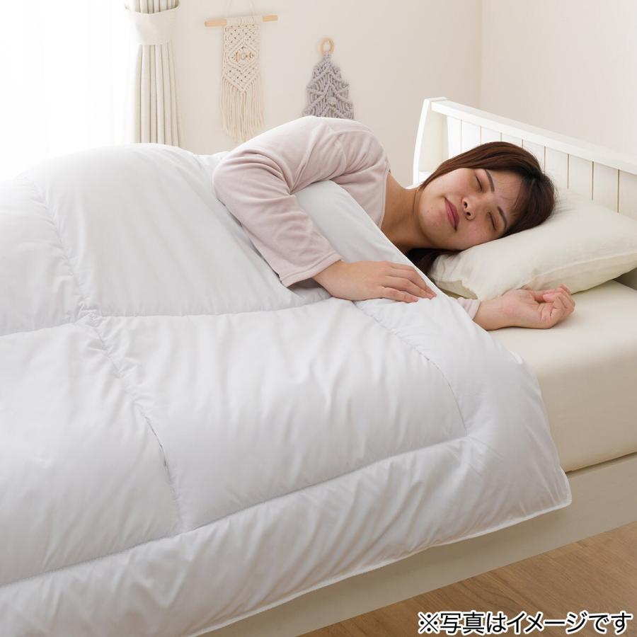 ニトリ（NITORI） 吸湿発熱 掛ふとん クイーン(NウォームWSP D2