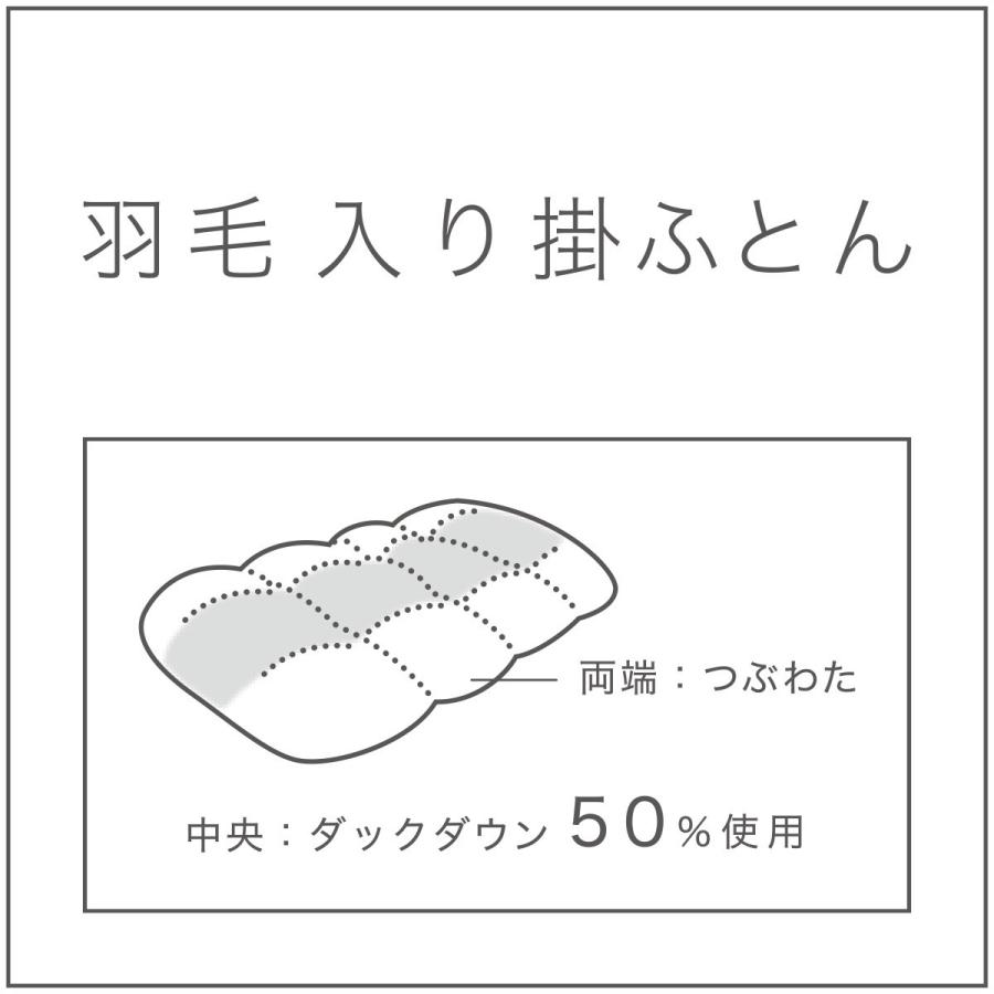 ニトリ（NITORI） 羽毛入り掛ふとん シングル(S-1 K2519 S) : ニトリ