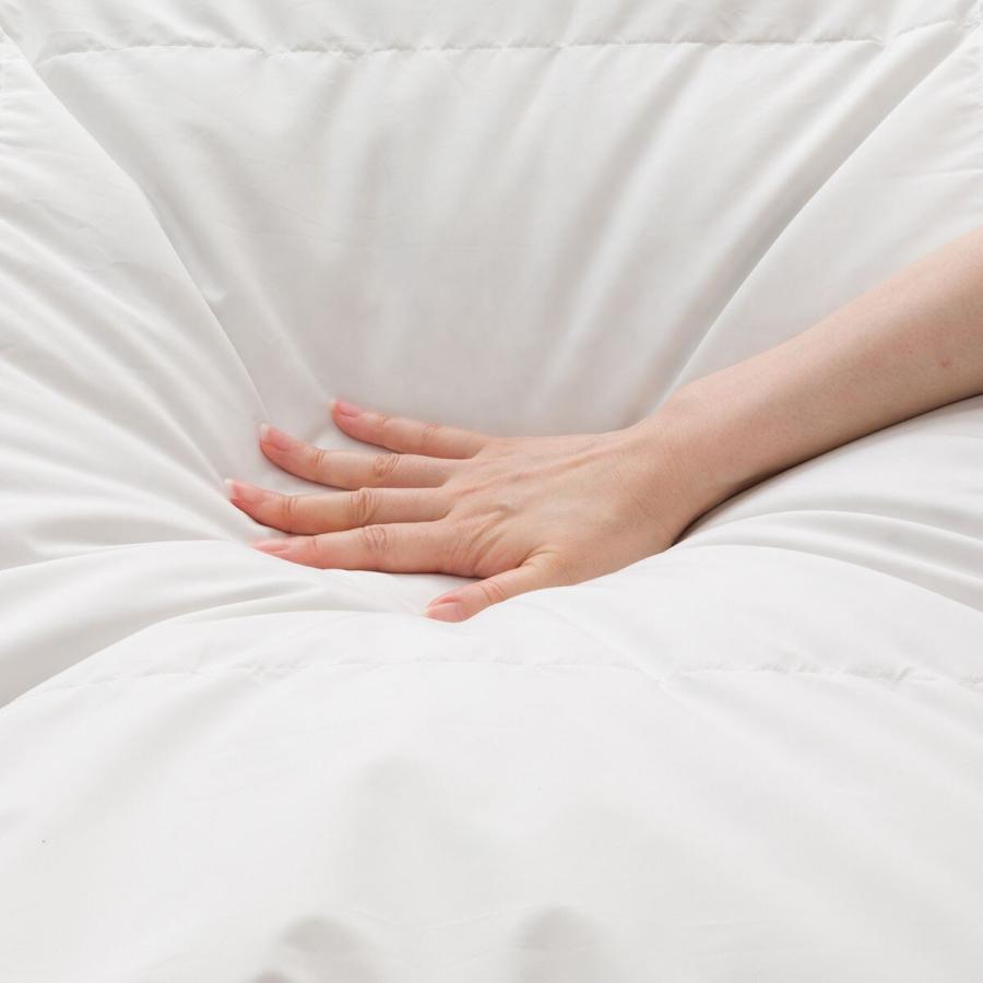 ニトリ 2枚合わせ羽毛掛ふとん シングル(NTR-2 K2520 S) : ニトリ