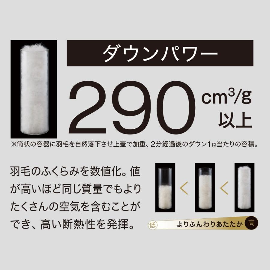 ニトリ（NITORI） 2枚合わせ羽毛掛ふとん クイーン(NTR-2 K2520 Q
