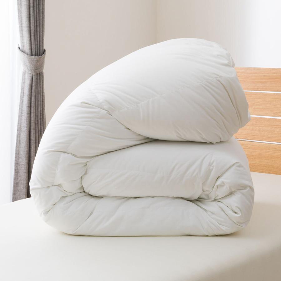 リチャードジノリ 羽毛掛けふとん 150x210cm 2枚セット リチャード