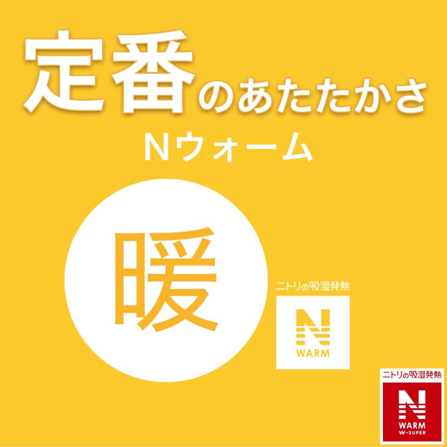 ニトリ（NITORI） カバーのいらない両面掛ふとん シングル(Nウォーム