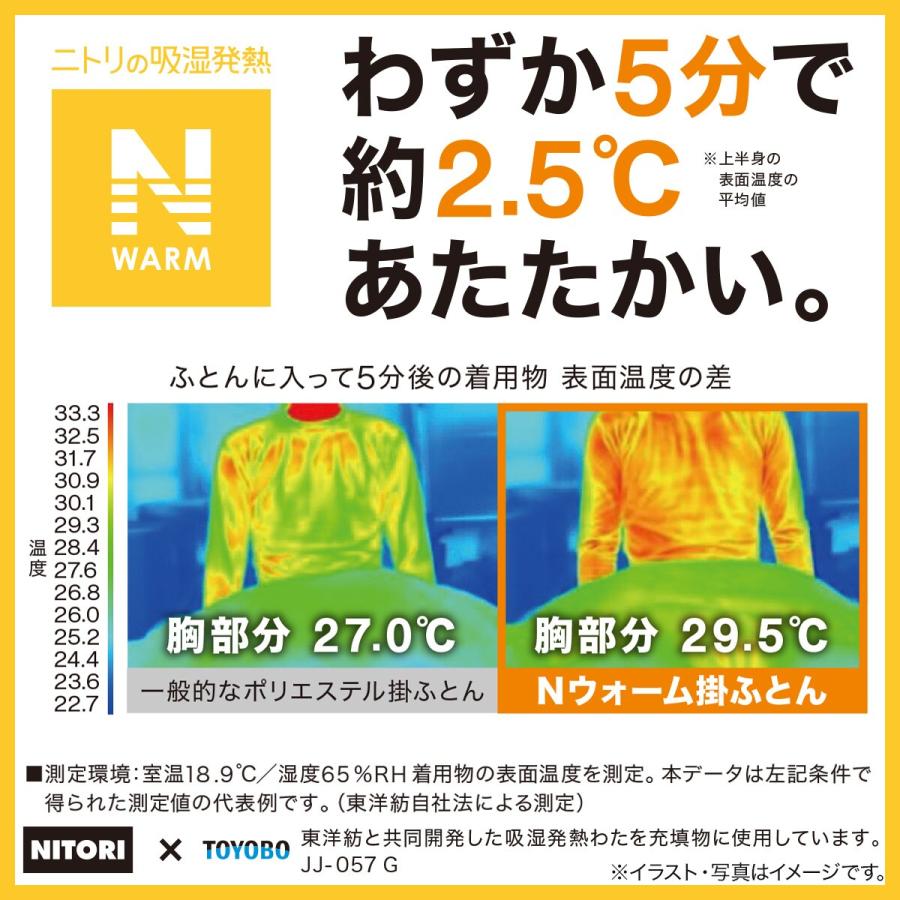 ニトリ（NITORI） カバーのいらない両面掛ふとん シングル(Nウォーム