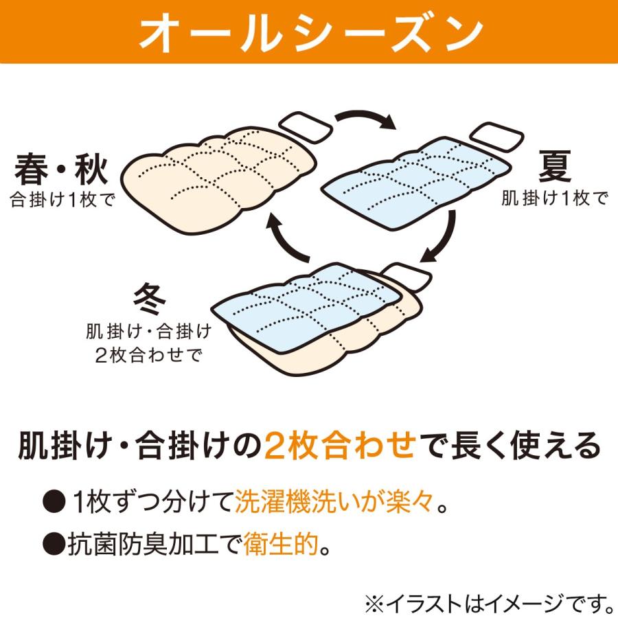 ニトリ（NITORI） 2枚合わせ抗菌防臭 掛ふとん シングル(K2514 S