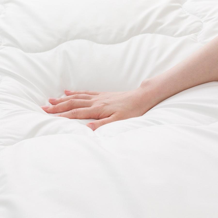 ニトリ（NITORI） 掛け布団 布団 肌掛け布団 2枚合わせ 抗菌防臭 掛