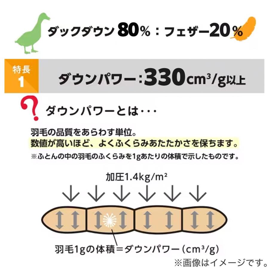 ニトリ（NITORI） 【日本製】羽毛掛ふとん シングル(DH-GDD80
