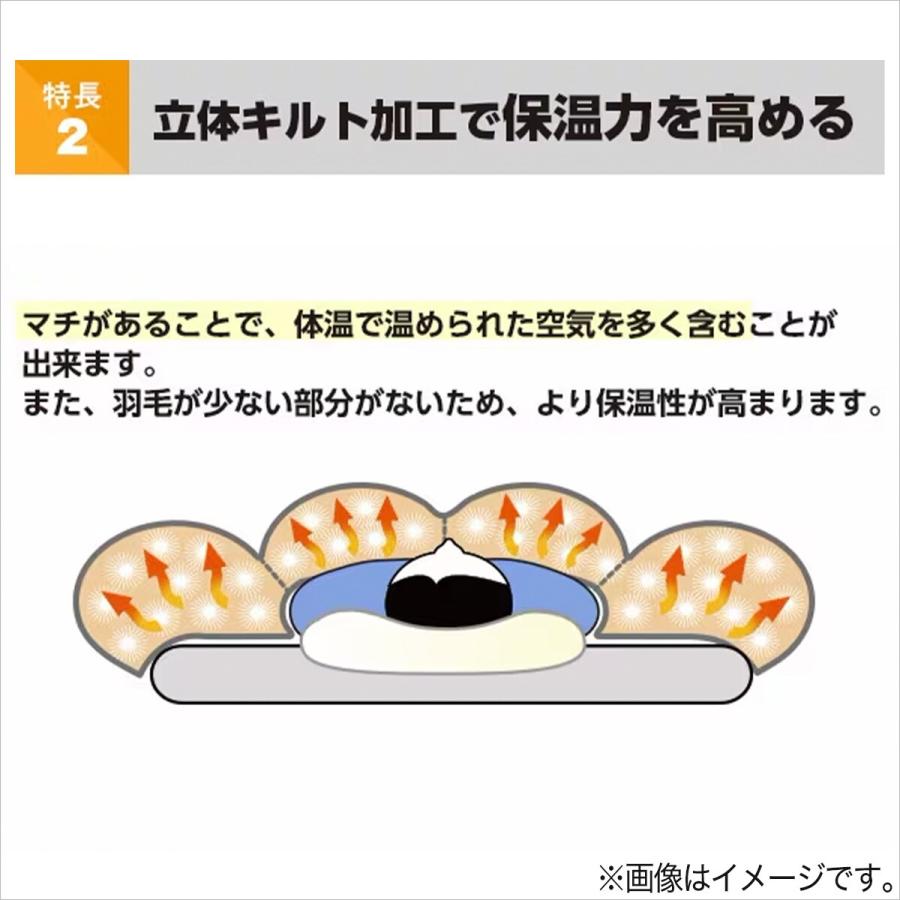 ニトリ（NITORI） 日本製 羽毛掛ふとん シングル(DH-GDD80) デコホーム