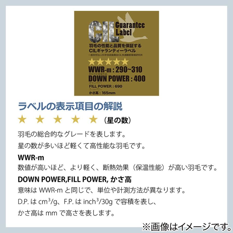 ニトリ（NITORI） 日本製 羽毛掛ふとん シングル(DH-GDD80) デコホーム