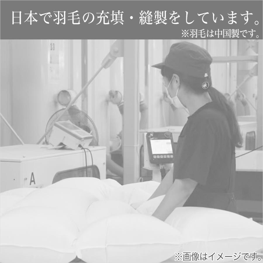 ニトリ（NITORI） 【日本製】羽毛掛ふとん シングル(DH-GDD80