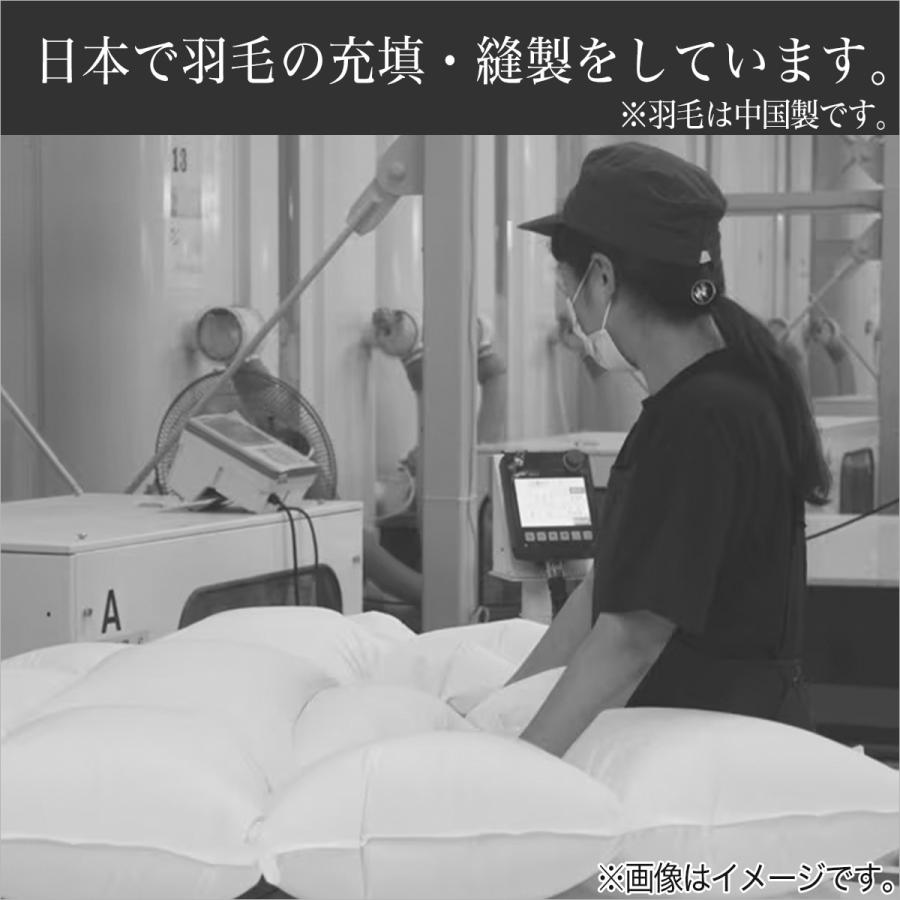 ニトリ（NITORI） 掛け布団 布団 日本製 羽毛掛ふとん(DH-GDD80