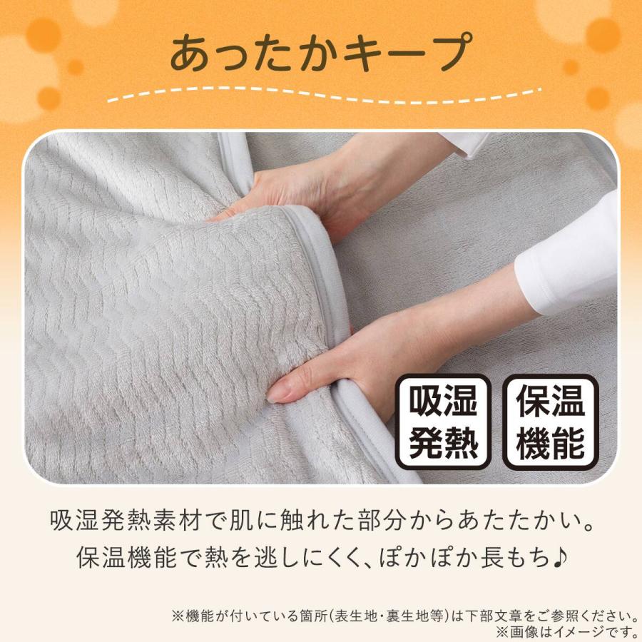 ニトリ（NITORI） 2枚合わせ 吸湿発熱 ブランケット(Nウォームスーパー