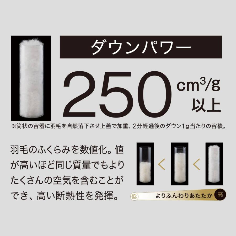 ニトリ（NITORI） 羽毛布団 ダブル(S-1 K2612 D) : ニトリ Yahoo!店