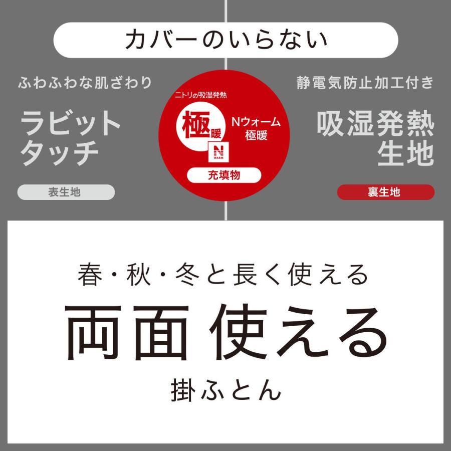 ニトリ（NITORI） 春・秋・冬と長く使える 両面 掛け布団 シングル(N
