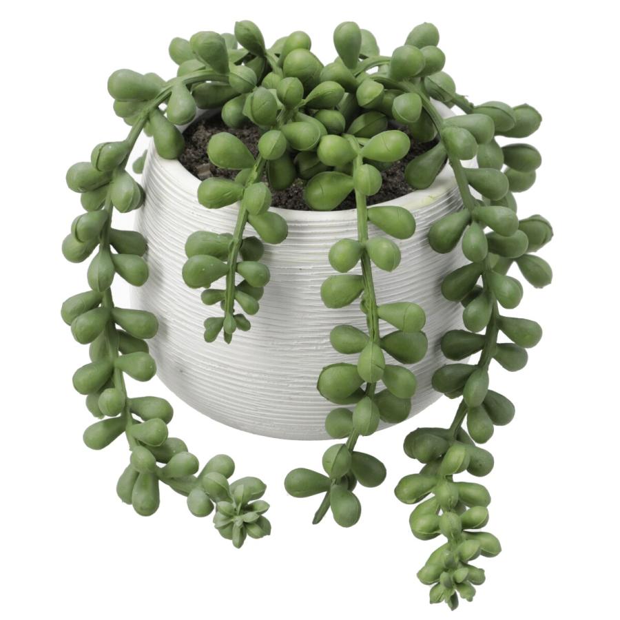 ニトリ（NITORI） フェイクグリーン(HAC222261) デコホーム : ニトリ