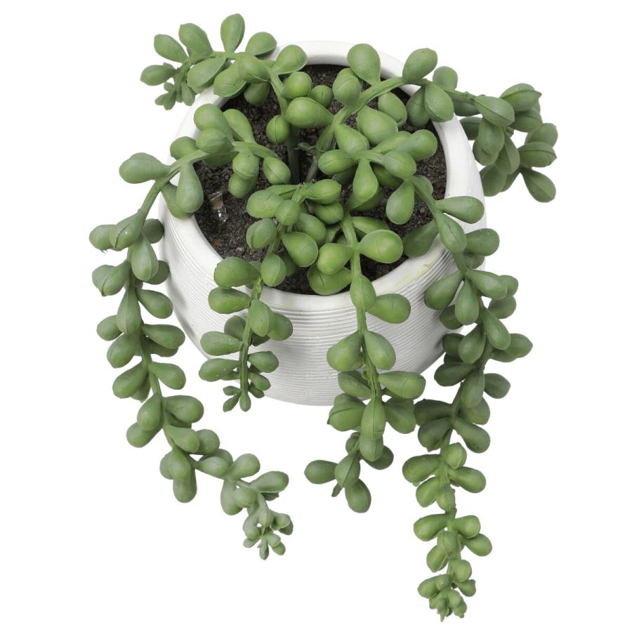 ニトリ（NITORI） フェイクグリーン(HAC222261) デコホーム : ニトリ