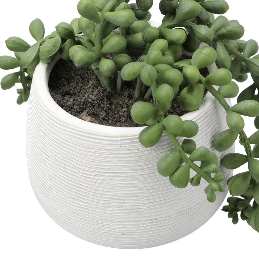 ニトリ（NITORI） フェイクグリーン(HAC222261) デコホーム : ニトリ