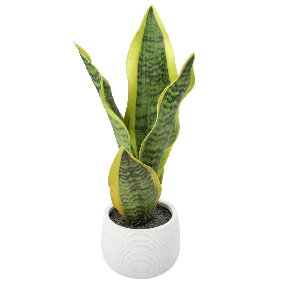 ニトリ（NITORI） フェイクグリーン(HAC222263) デコホーム : ニトリ