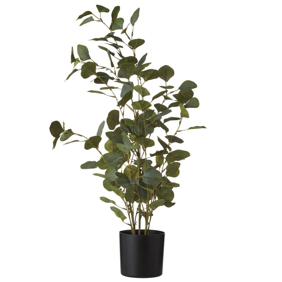 ニトリ（NITORI） アーティフィシャルグリーン(IW103) : ニトリ Yahoo