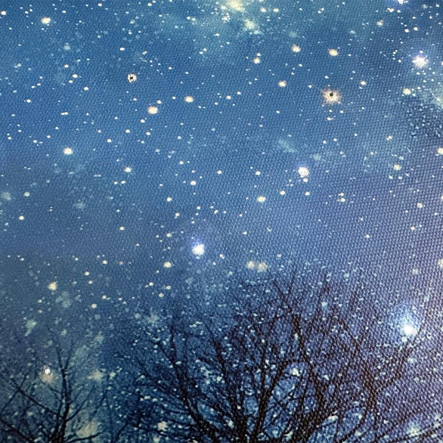 ニトリ（NITORI） LEDキャンバスポスター 星空(ZF01) : ニトリ Yahoo