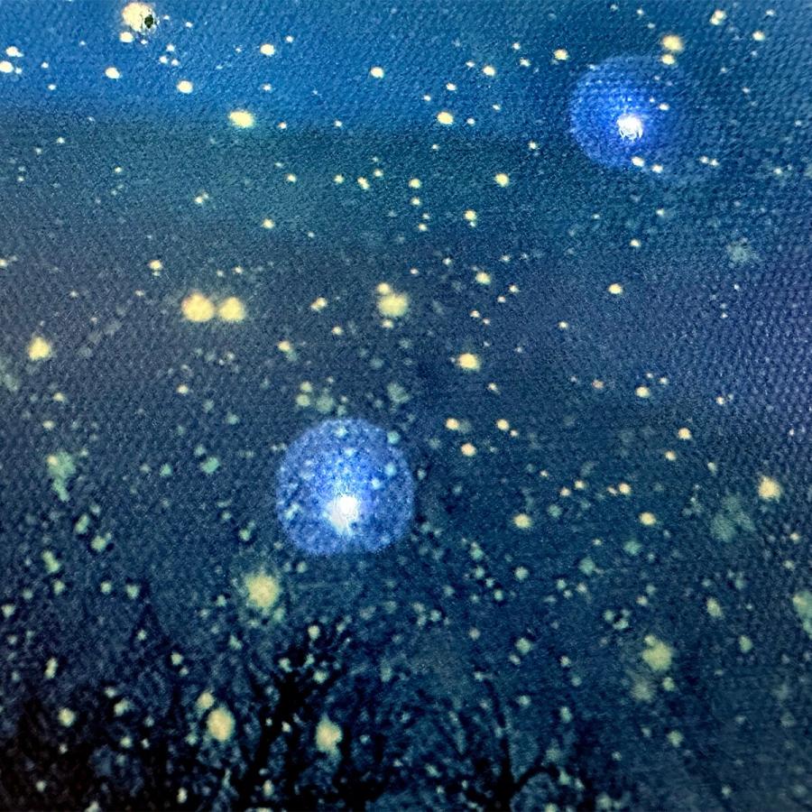 インテリアポスターー 動物写真 トラ(虎) インテリアアートポスター額装 AS0152