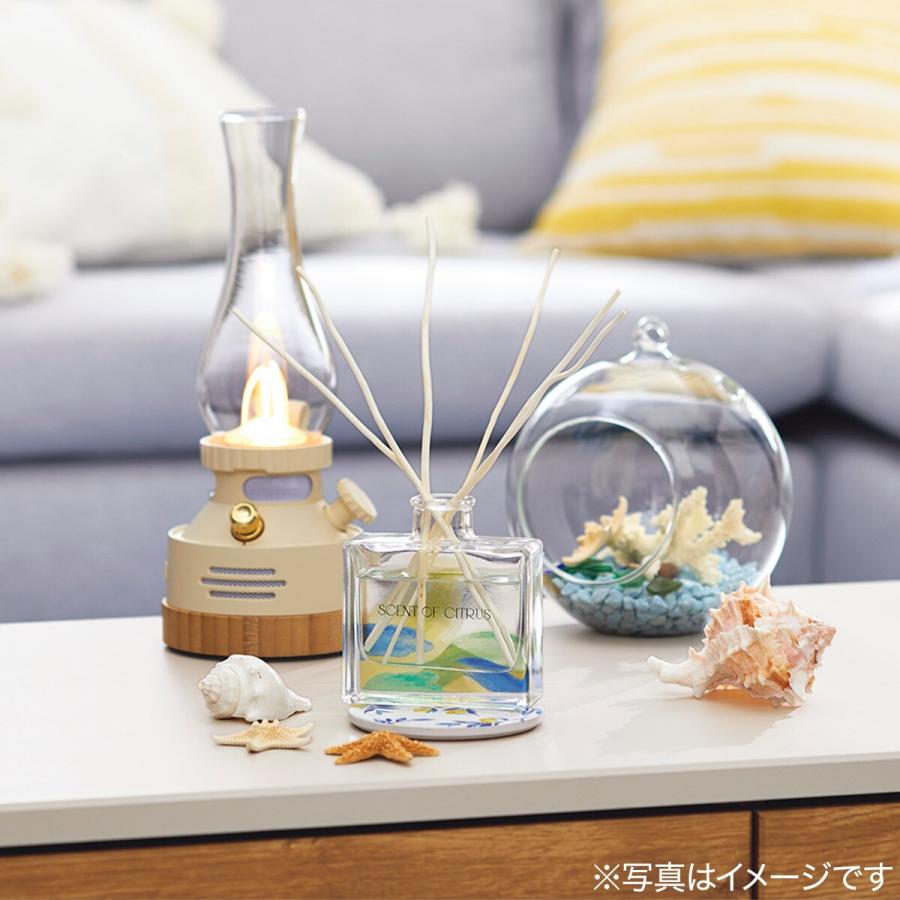 アロマグッズ Sora ソラフラワー 花 ディフューザー HPエアー スティック 消臭剤