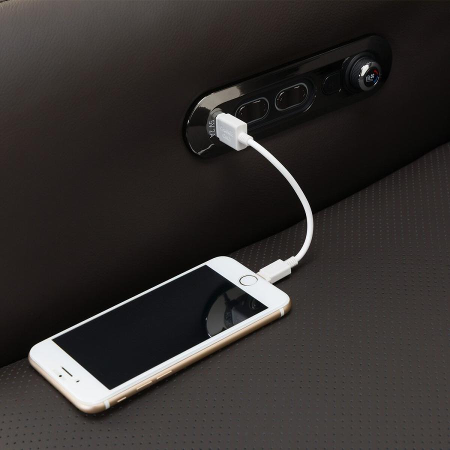 ニトリ 電動リクライニングパーソナルチェア2台セット(2モーター ニトリ 電動リクライニングパーソナルチェア2台セット(2モーター
