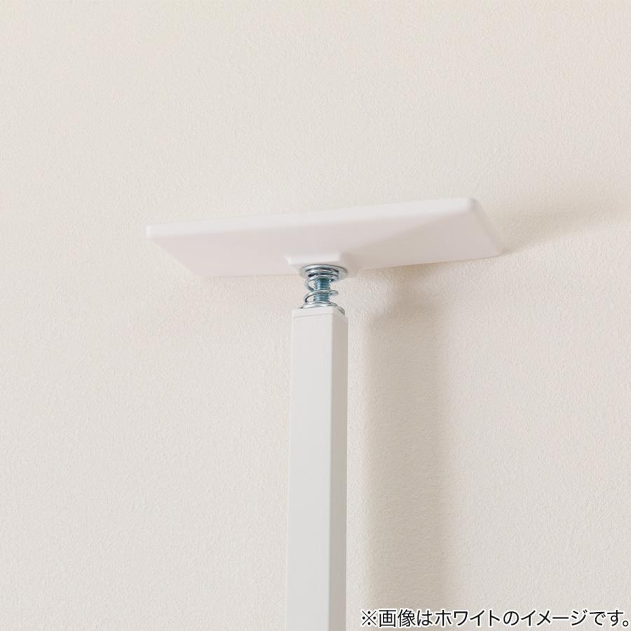 ニトリ（NITORI） 突っ張り壁面収納 Nポルダディープ2 (幅80cm NP01