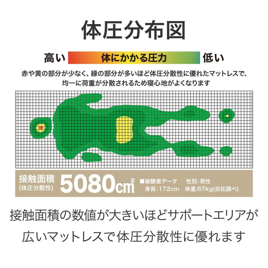 ニトリ クイーンマットレス1枚タイプ(Nスリープ プレミアムP1 ニトリ クイーンマットレス1枚タイプ(Nスリープ プレミアムP1