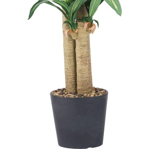 グリーン Ql ドラセナ ニトリ 1年保証 玄関先迄納品 ニトリ Yahoo 店 通販 Yahoo ショッピング