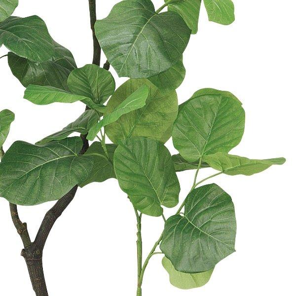 Ql グリーン ウンベラータ ニトリ 1年保証 玄関先迄納品 ニトリ Yahoo 店 通販 Yahoo ショッピング