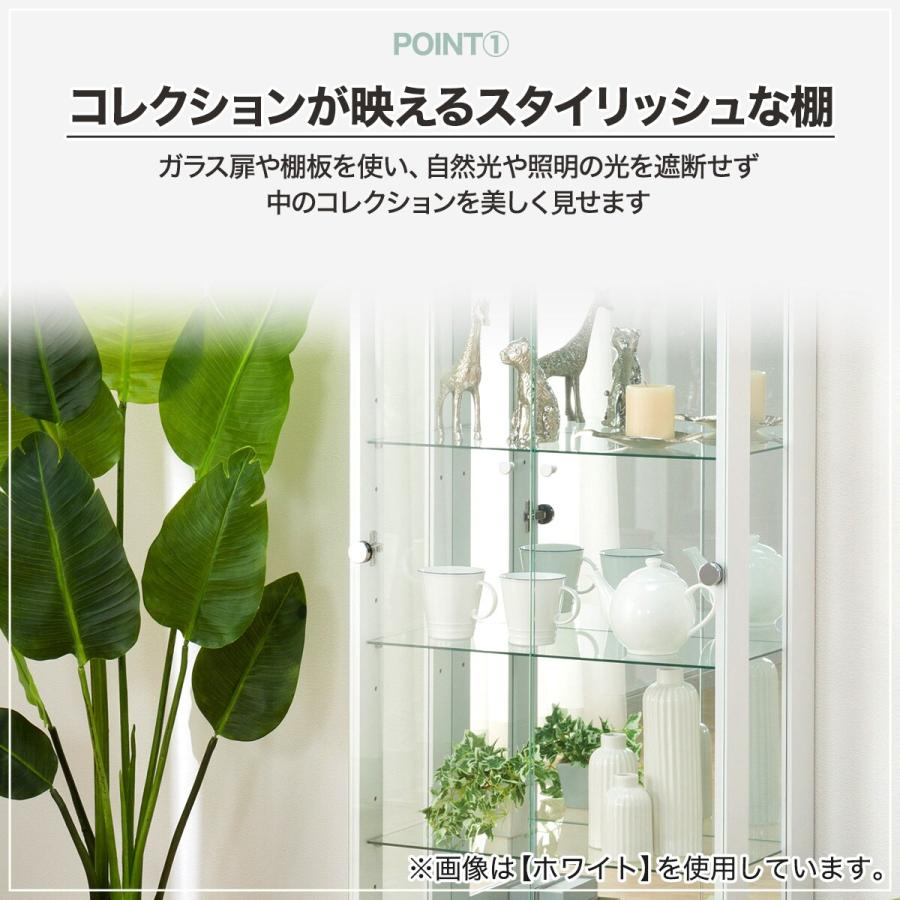 ピュアード100 おまとめ2本セット 2個組 頑丈 整理棚 クローゼット 幅81.5 奥行26 CSC2-8226