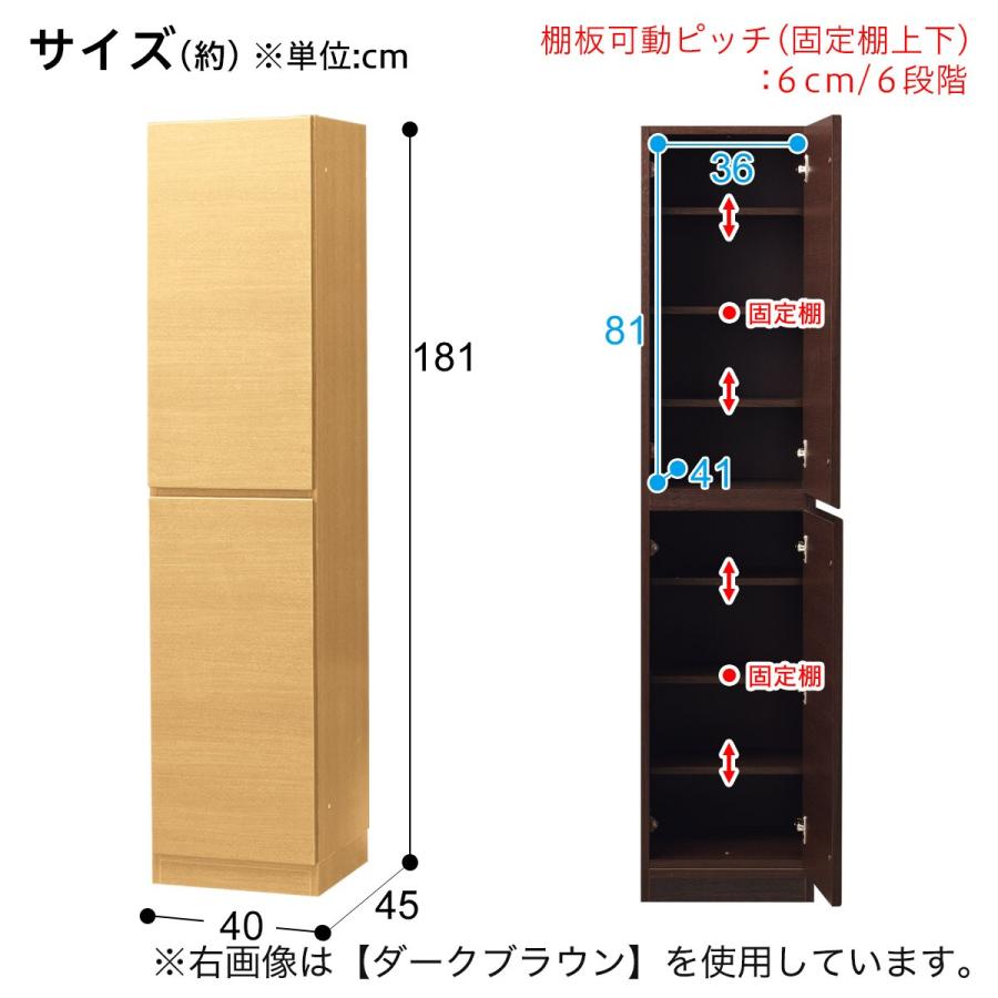 上置き付き壁面ユニットキャビネット(ウォーレン 40-2D NA 右開き 