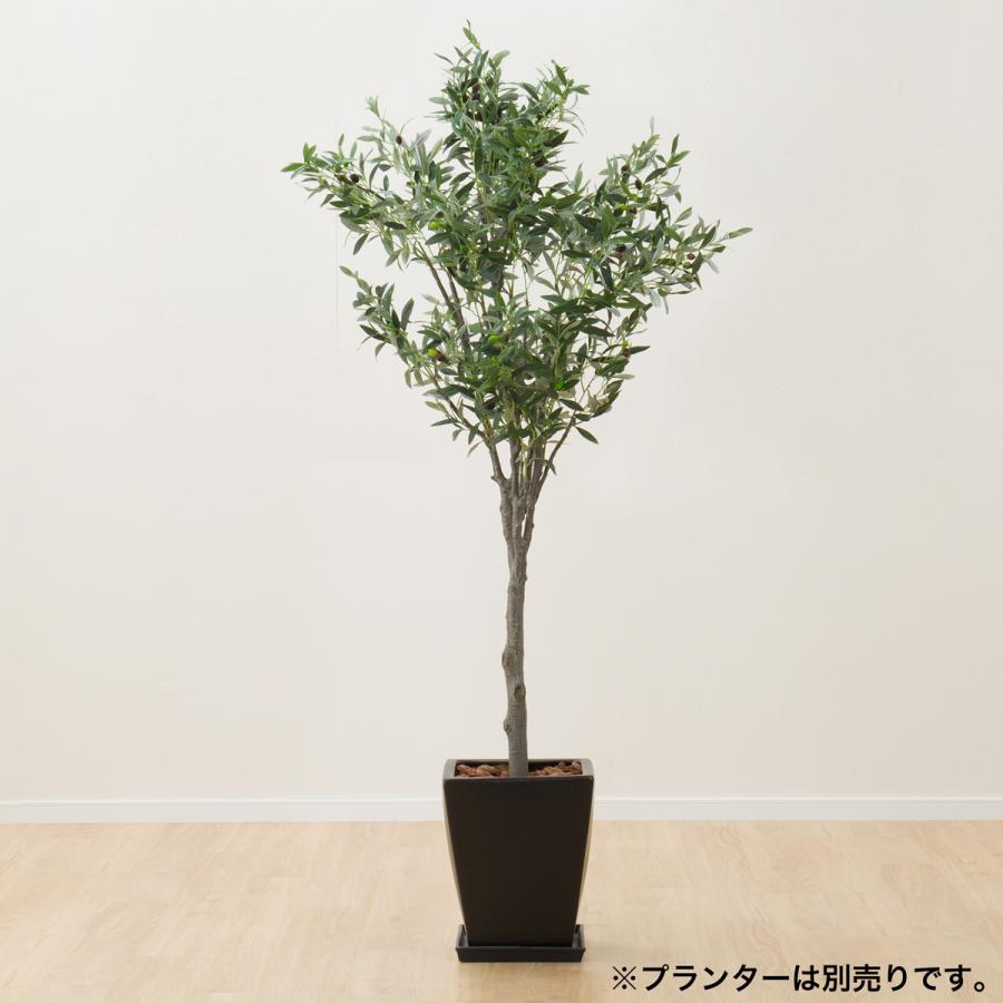 フェイクグリーン 180 オリーブツリーos1807 6 17 ニトリ 玄関先迄納品 1年保証 ニトリ Yahoo 店 通販 Yahoo ショッピング