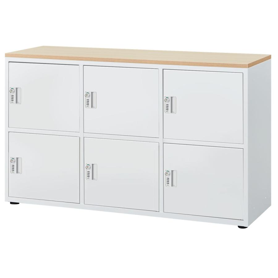 ニトリ スチール書庫(ロッカータイプ NT6D OAK/WH) キャビネット