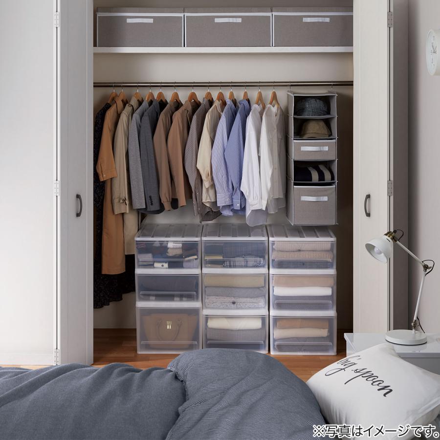 ニトリ クローゼットケース セレスFD (S/高さ20cm) 2個セット