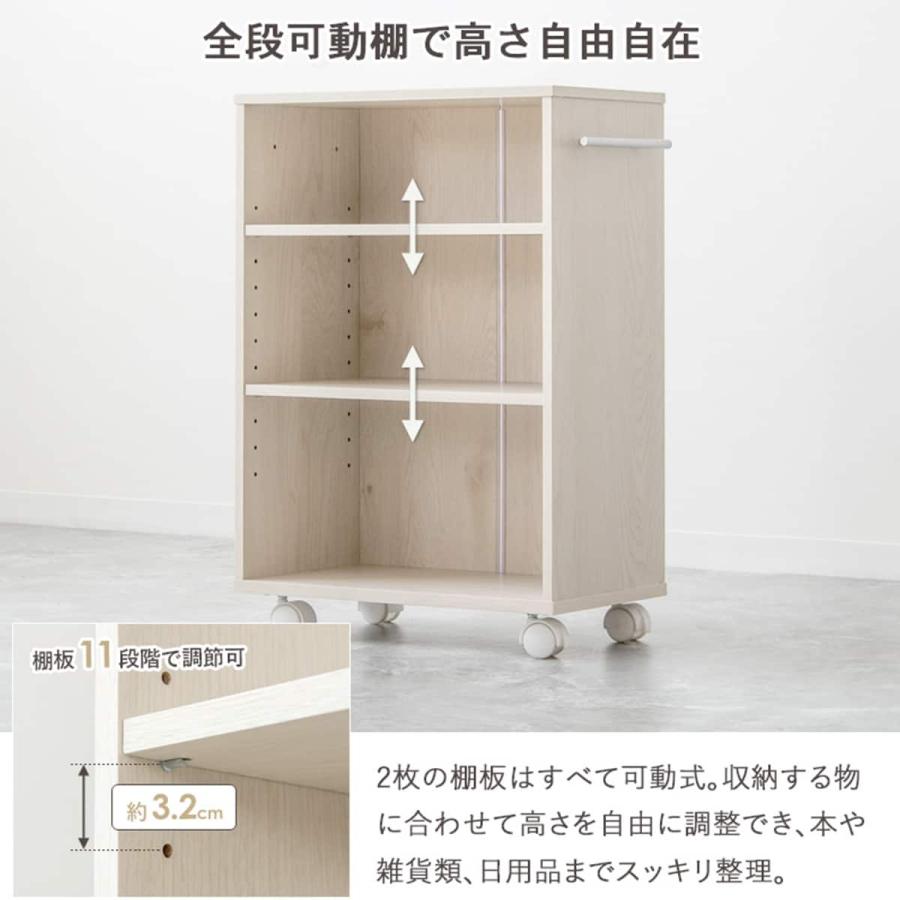 ニトリ（NITORI） 押入れクローゼット収納 (IW1945 幅19×奥行45cm