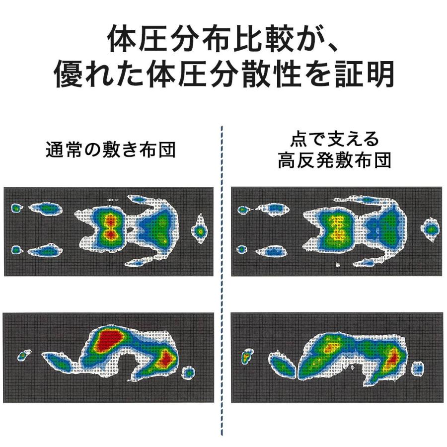 ニトリ（NITORI） 抗菌防臭機能付き 点で支える高反発敷布団 (シングル