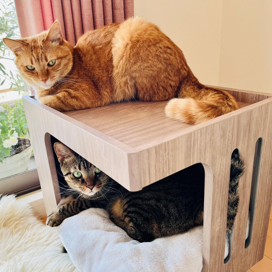 猫　小型犬　ペット　ハウス　ベッド　テーブル テーブル ペットベッド ペットハウス ローテーブル サイド